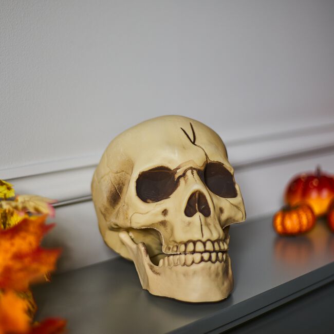 Skull With Movable Jaw 8"